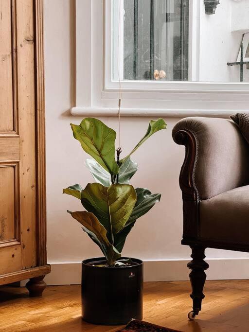 Stunning Victorian Mansion Apartment - Hosted By Agf Property - Free Parking Upon Request Brighton Eksteriør billede